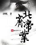 北齐帝业小说
