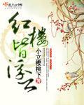 红楼皆浮云小说