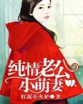 纯情老公小萌妻小说免费阅读红泥小火炉