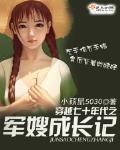穿越七十年代之军嫂成长记