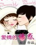 我的天才女友是什么语言