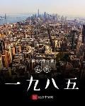 我的一九八五小说