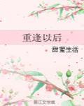 重逢以后TXT百度网盘