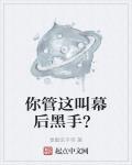 你管这叫幕后黑手TXT下载