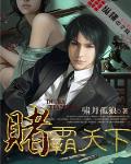 赌霸天下(国语版)