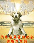 狗神经炎最佳恢复方法