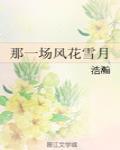 那一场风花雪月的事歌词