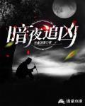 暗夜追凶在线观看免费