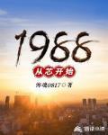 从1988开始小说