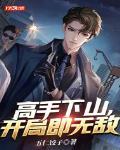 高手出山在都市小说