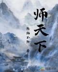 师天下的意思