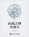 抗战之烽火漫天免费阅读