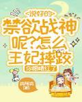王妃受伤小说片段