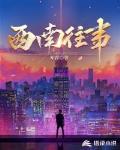 西南往事小说免费阅读