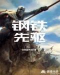 钢铁先驱数据改装图片及价格表