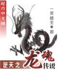 龙魂传说小说