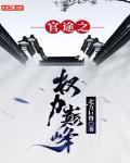 官途之权力巅峰免费阅读