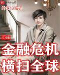 重生金融危机横扫全球txt