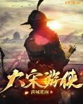 大宋游龙 小说
