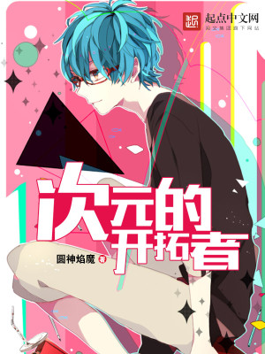 次元的开拓者评论