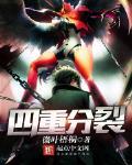四重分裂笔趣阁