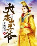 大唐太子爷小说