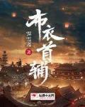 布衣的小说