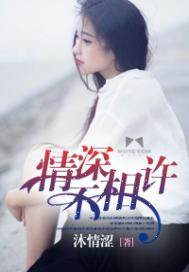 情深不相许歌曲