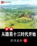 穿越路易十七小说