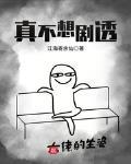 真不想剧透顶点
