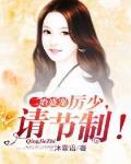 小说二婚盛宠厉少请节制