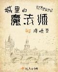 城里的魔法师起点