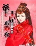小说杀手王妃