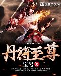 丹符至尊小说