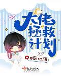 大佬拯救计划 萌面打劫