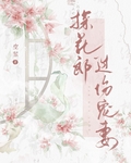 探花郎过份宠妻无弹窗 顶点中文