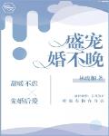 盛宠婚不晚 小说