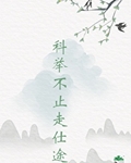世家子弟考科举小说