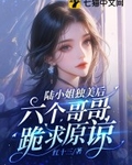 六个哥哥跪求原谅最新更新