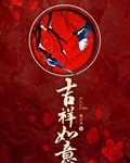 吉祥如意小说