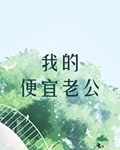 我的便宜老公尼古拉斯糖葫芦免费阅读