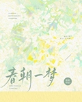 京朝一梦小说