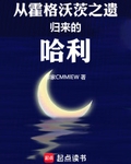 从霍格沃茨之遗归来的哈利七猫