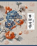 奉御女官(清穿)TXT