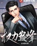 权力巅峰作者:梦入洪荒