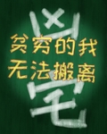 贫穷无法限制我的想象小说