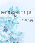 被毛茸茸包围了！[星际]