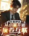 社畜逆袭：从小米开始反卷互联