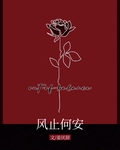风止何安