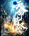 天命皆烬